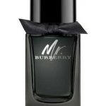 burberry mr burberry