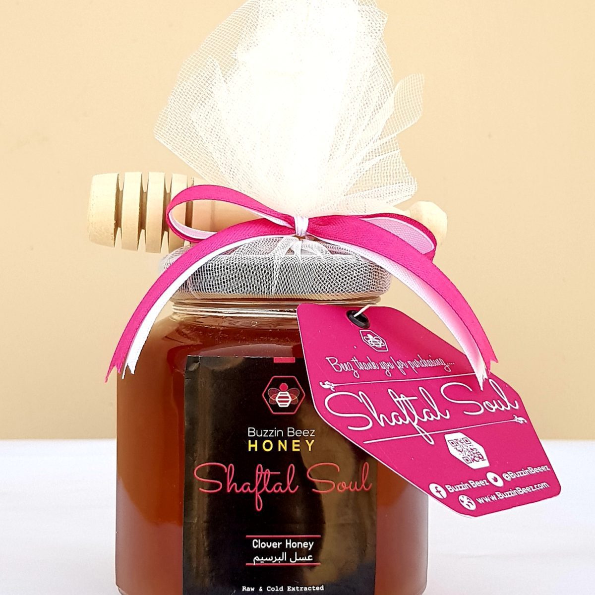 Decorative Shells - Ex And Next