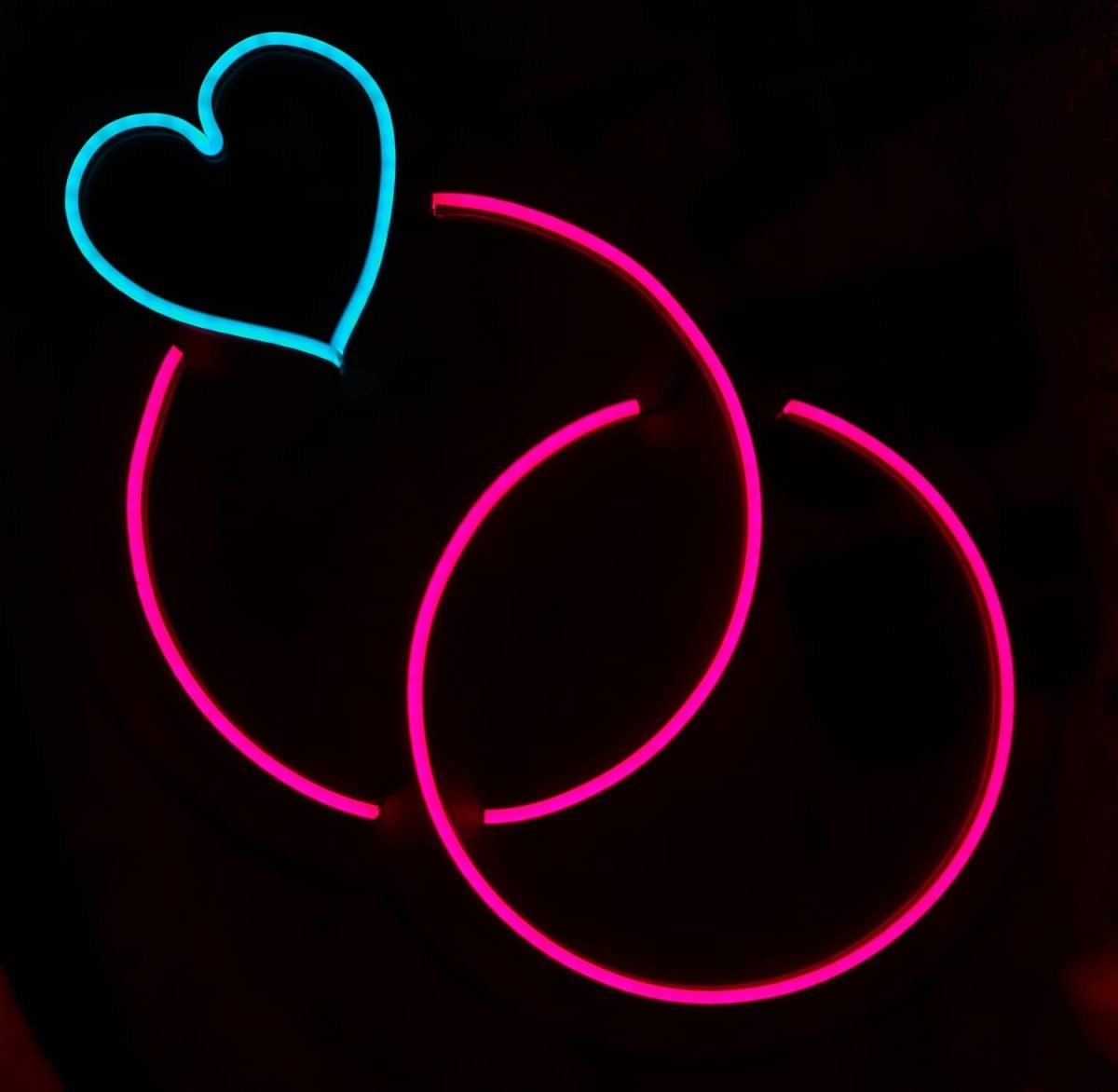 Heart and Circles Neon Light