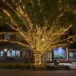 Warm White Color 100 METER 880 LED Lights String Light
