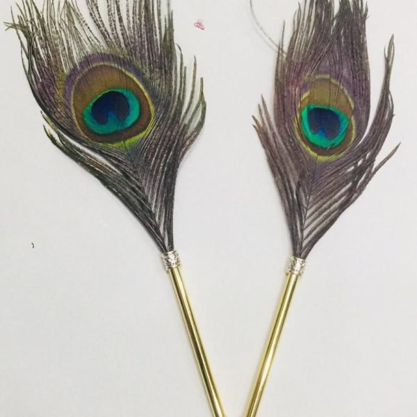Nikkah Surprised Antique Real Peacock Feather Pen